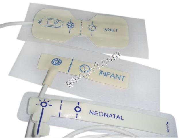 Kooripõhine lindi 副本 .jpg